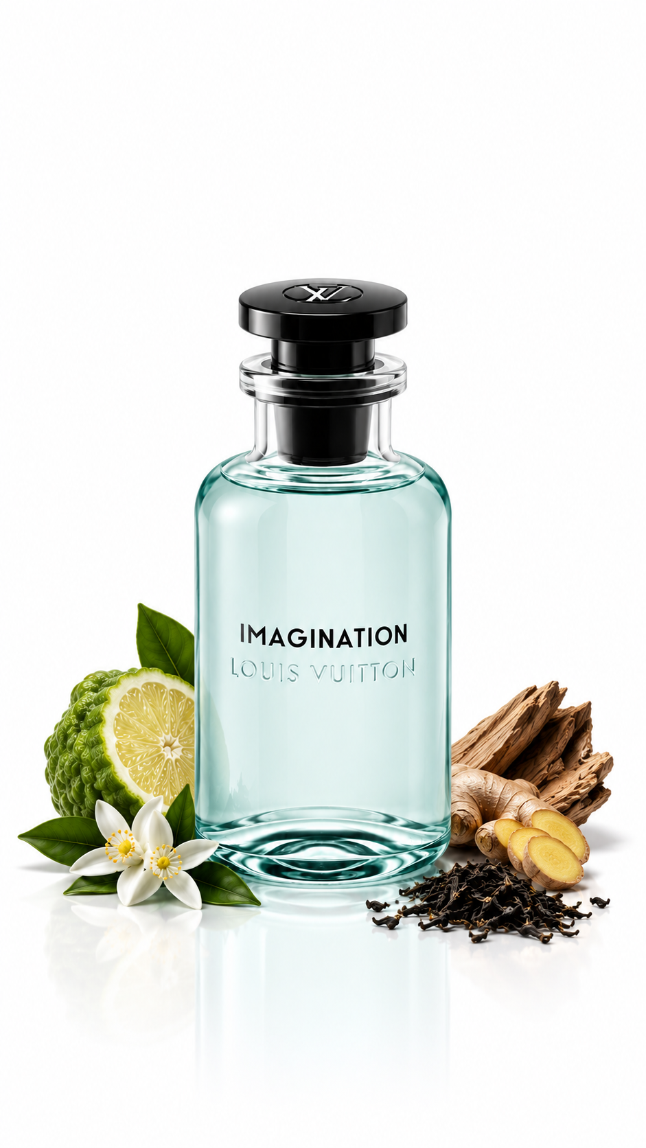 Louis Vuitton - Imagination - Décante